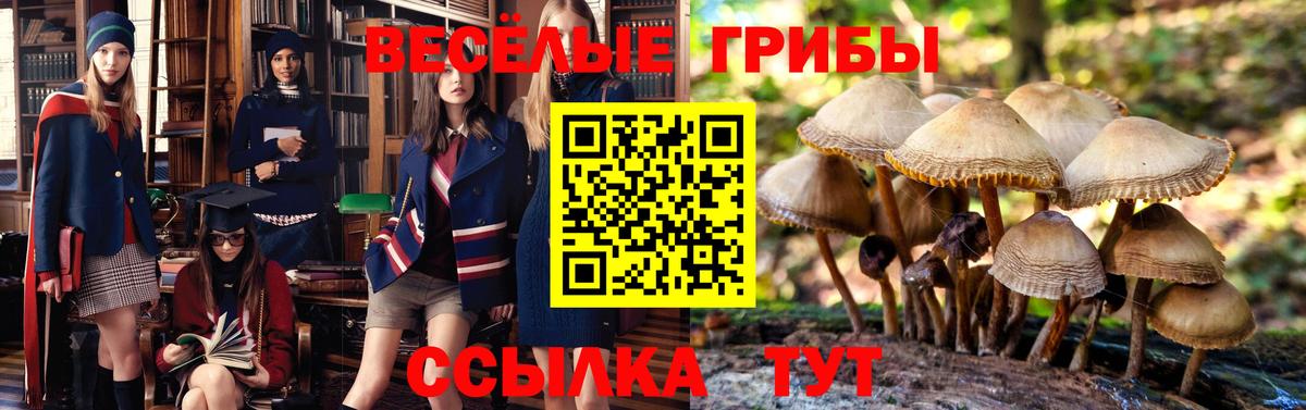 Галлюциногенные грибы прущие грибы Печора